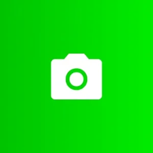 Bulk SEO Wcag Alt Text Generator