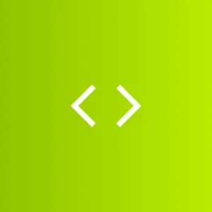 Custom Snippet Code Writer