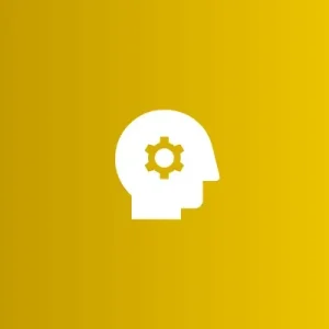 Decision Continuation Controllers