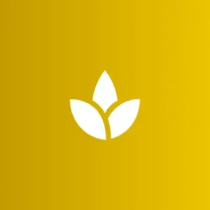 Guided Meditation Script Starter