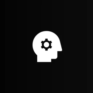 Literature Synthesis For Stem