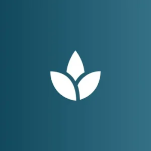 Meditation Mindfulness Guide