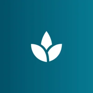 Meditation Technique Recommender