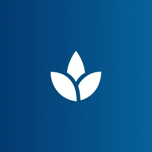 Mindful Meditation Guide