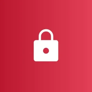 Owasp Top 10 Security Auditor