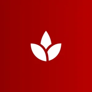 Topic To Full Yoga Nidra Script