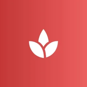 Virtual Meditation Session Guide